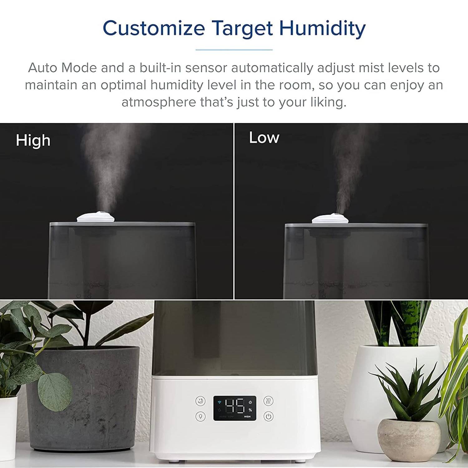 Humidifier: image 5