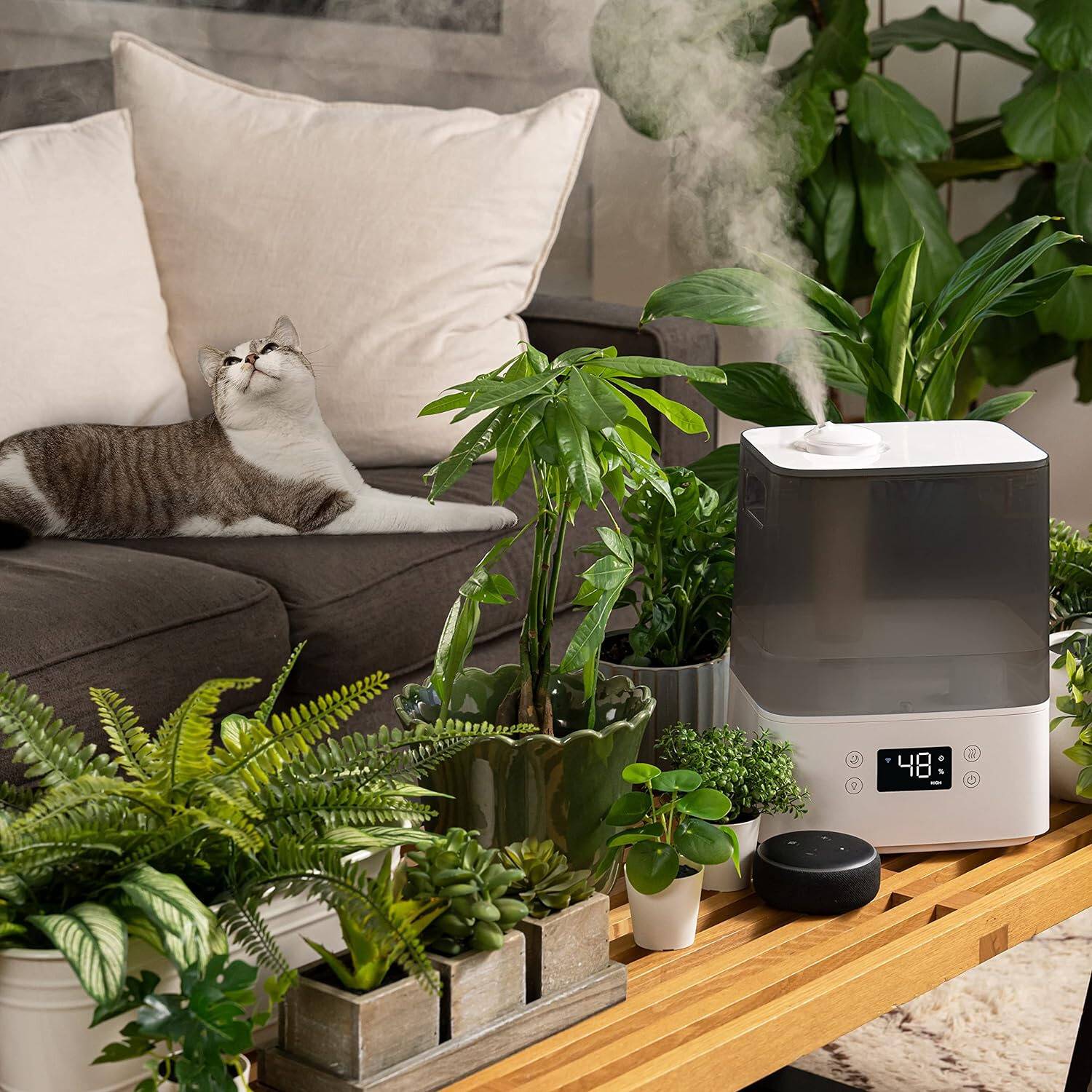 Humidifier: image 12